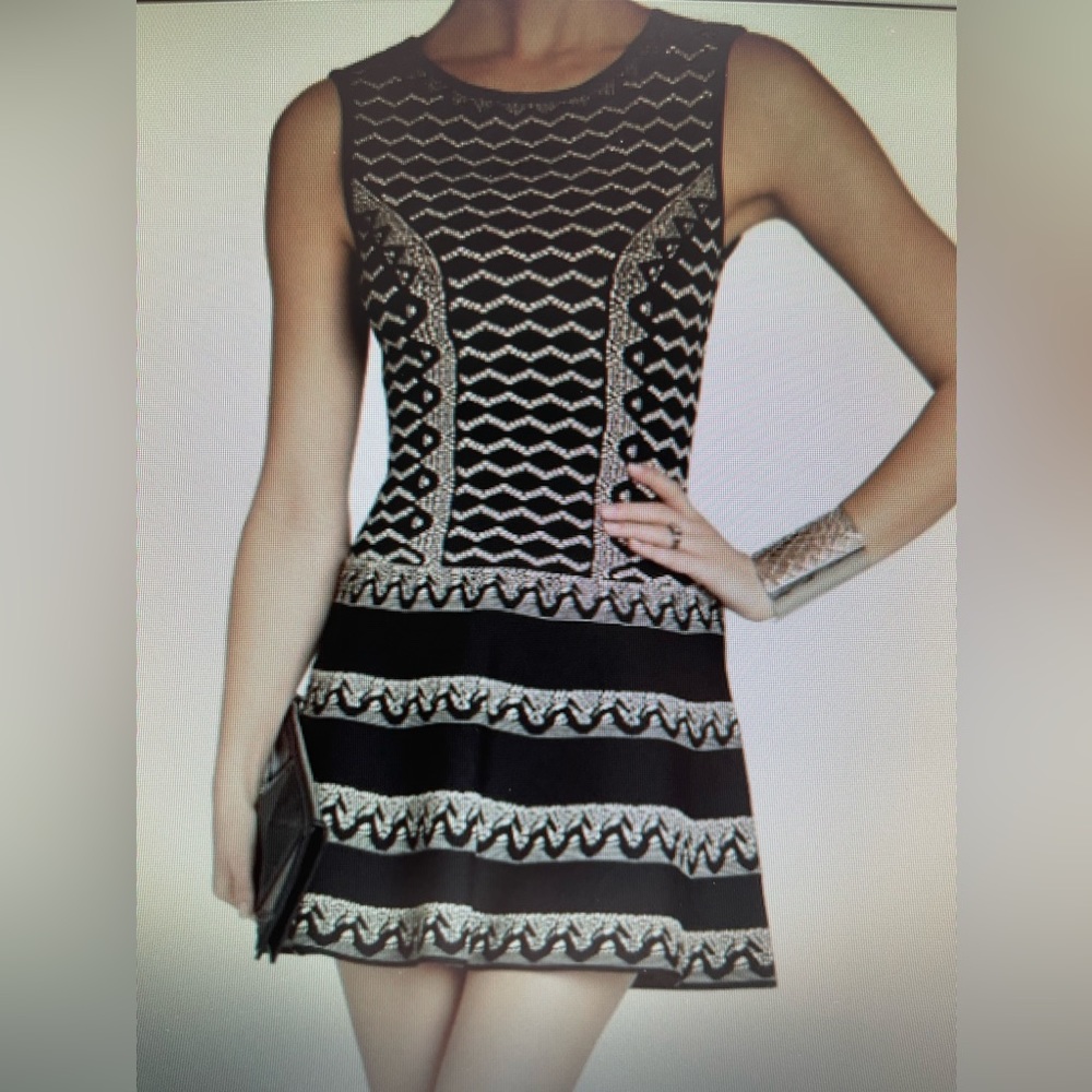 BCBG MaxAzria Wilma Jacquard A-Line Dress, XS